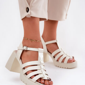 Sandalen mit Absatz model 212575 Step in style