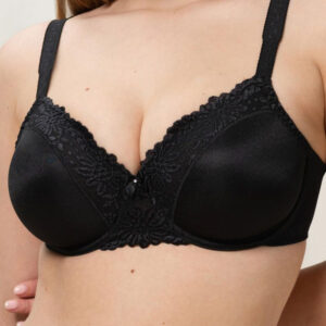 Soft model 229350 Triumph