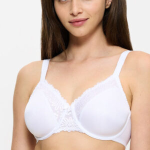 Soft model 229351 Triumph