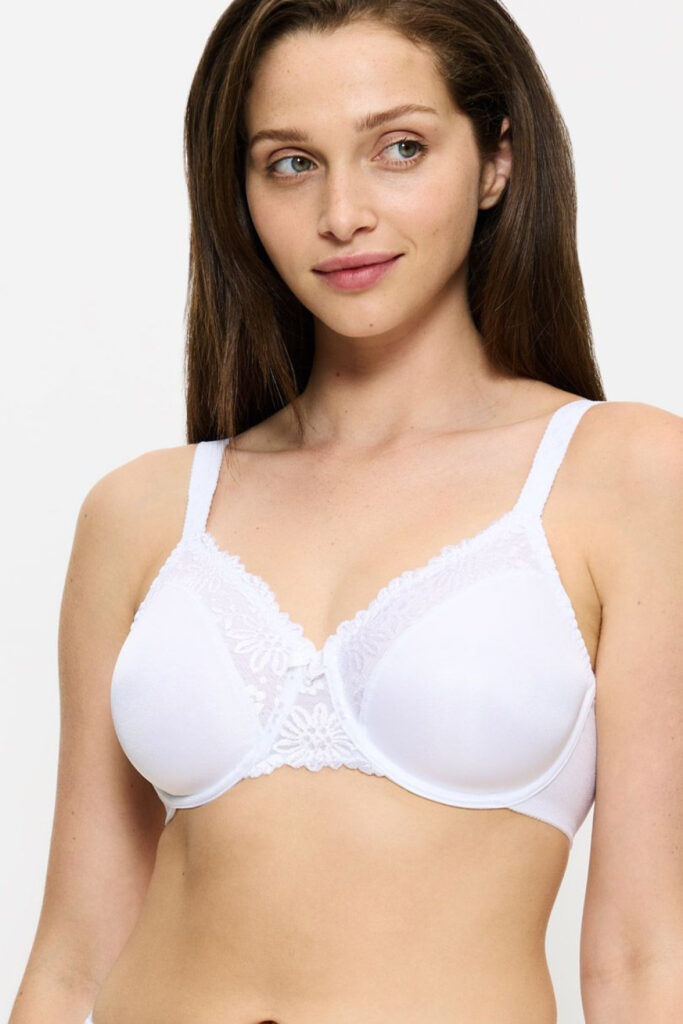 Soft model 229351 Triumph