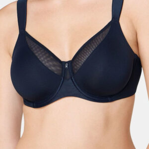 Soft model 229361 Triumph