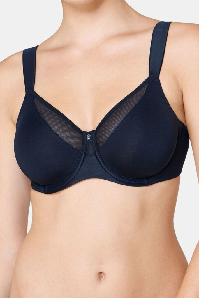 Soft model 229361 Triumph