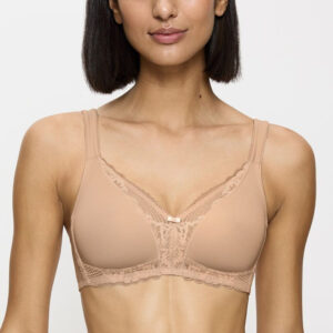 Soft model 229508 Triumph