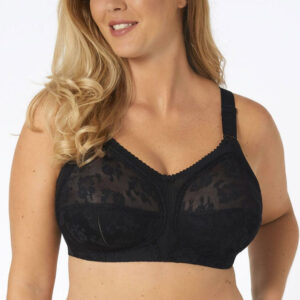 Soft model 229864 Triumph