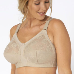 Soft model 229866 Triumph