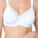Soft model 229984 Triumph