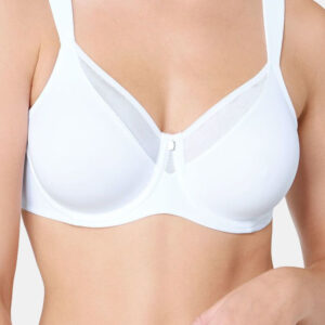 Soft model 229984 Triumph