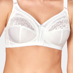 Soft model 229987 Triumph