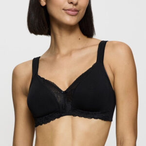 Soft model 229998 Triumph