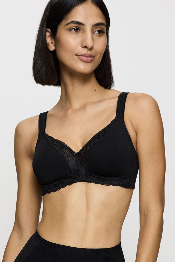 Soft model 229998 Triumph