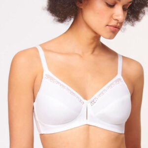 Soft model 230065 Triumph