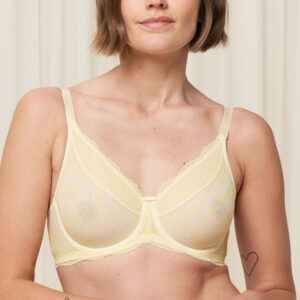 Soft model 230249 Triumph