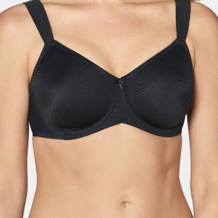 Soft model 230269 Triumph