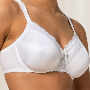 Soft model 230270 Triumph