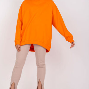 Sweater model 169764 BFG