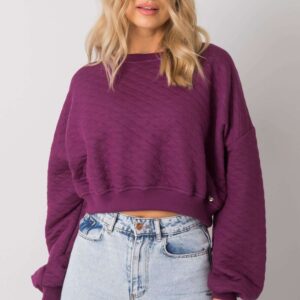 Sweater model 169773 BFG